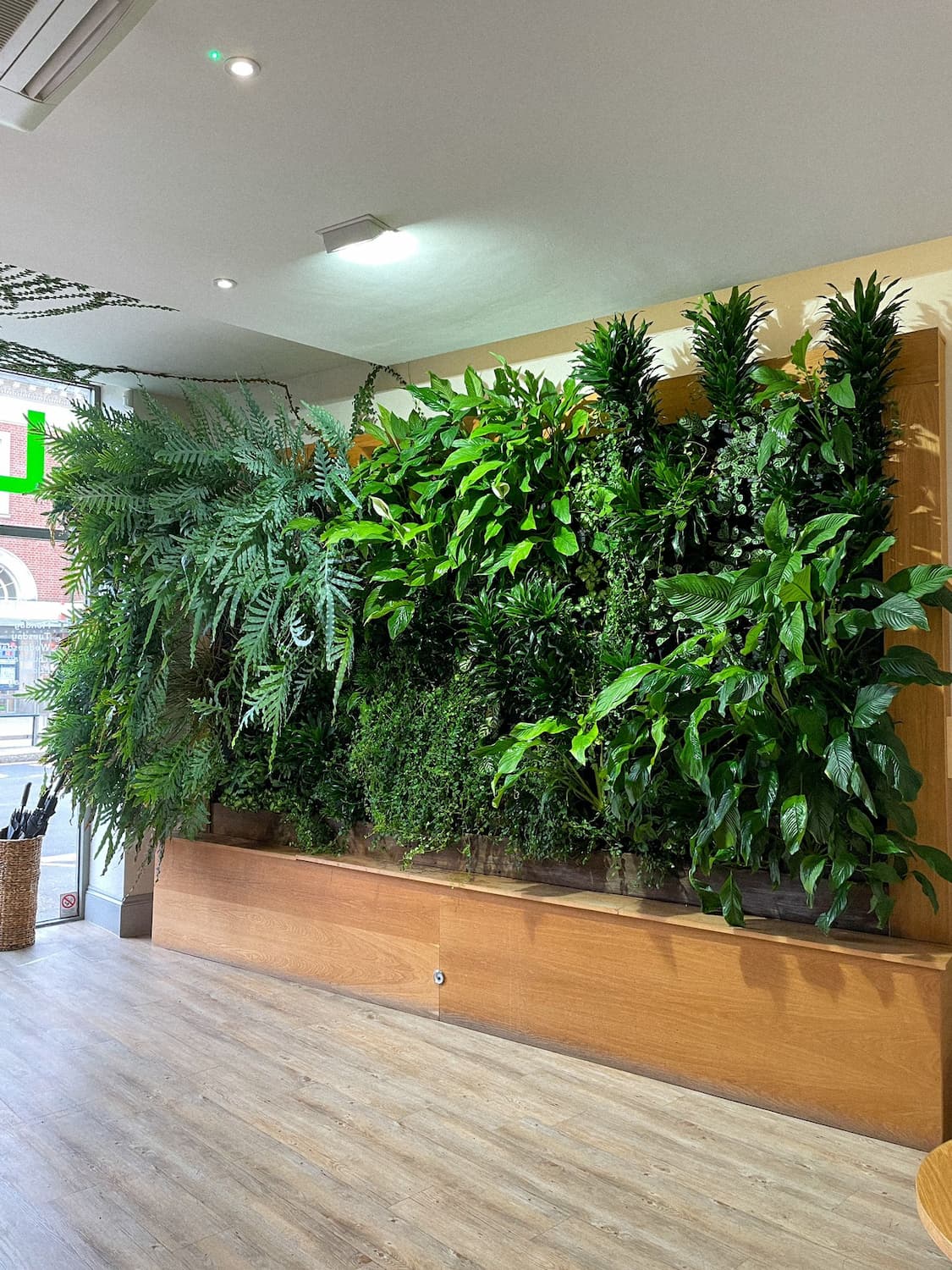 Life Dental Living Wall Hutch Plant Installation