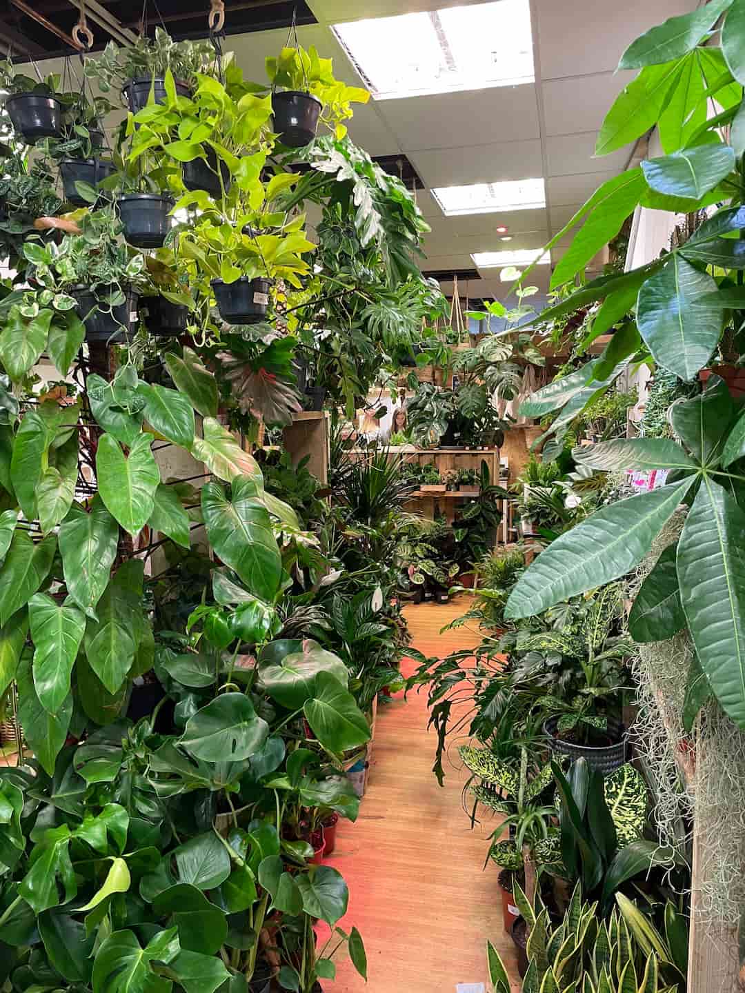 Hutch Shop