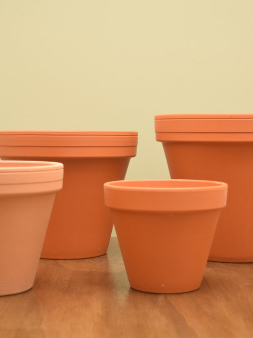 Terracotta Pot
