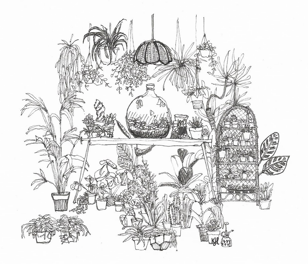 We were going to open a pub…