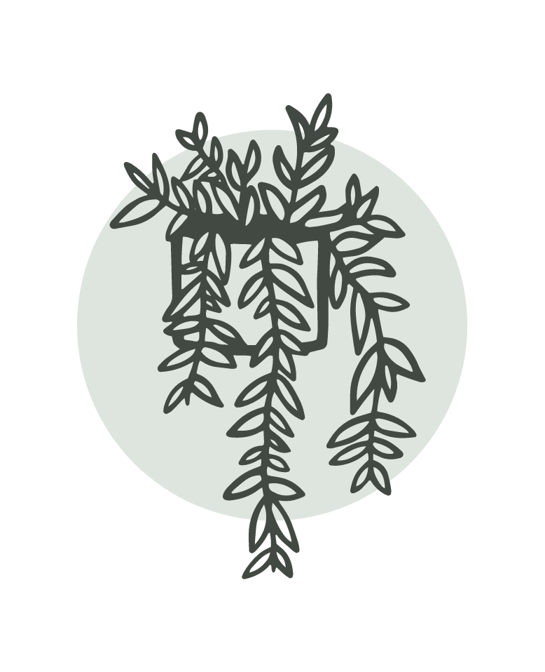 House plants and accessories Exeter Hutch Houseplants