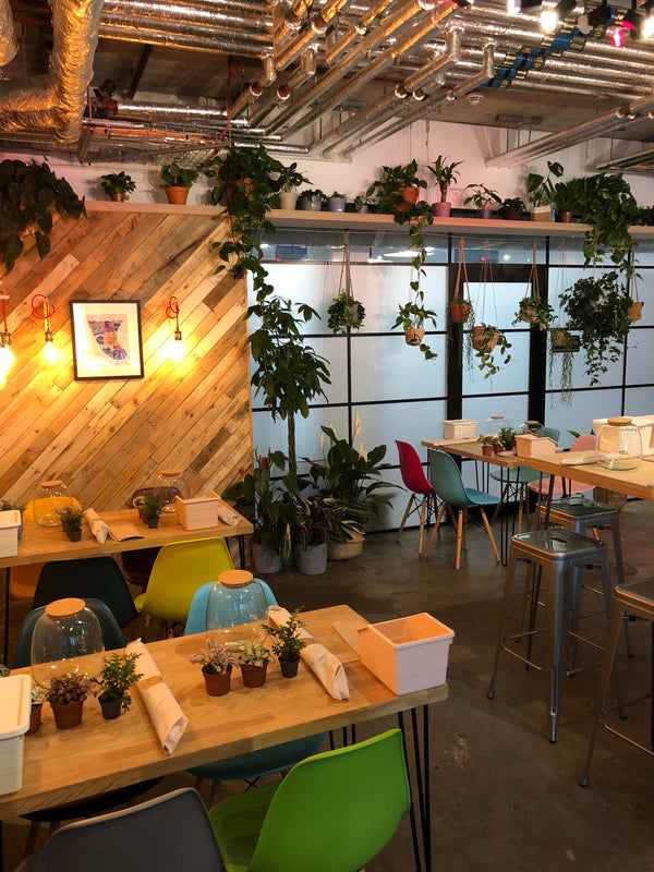 Tuesday 14th April - Terrarium Workshop