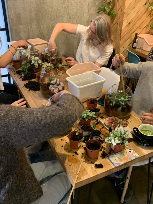 Thursday 2nd July - Terrarium Workshop @ Bill's Exeter