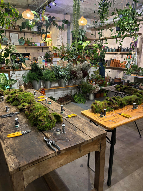 Saturday 29th November 2025 - Christmas Wreath Workshop