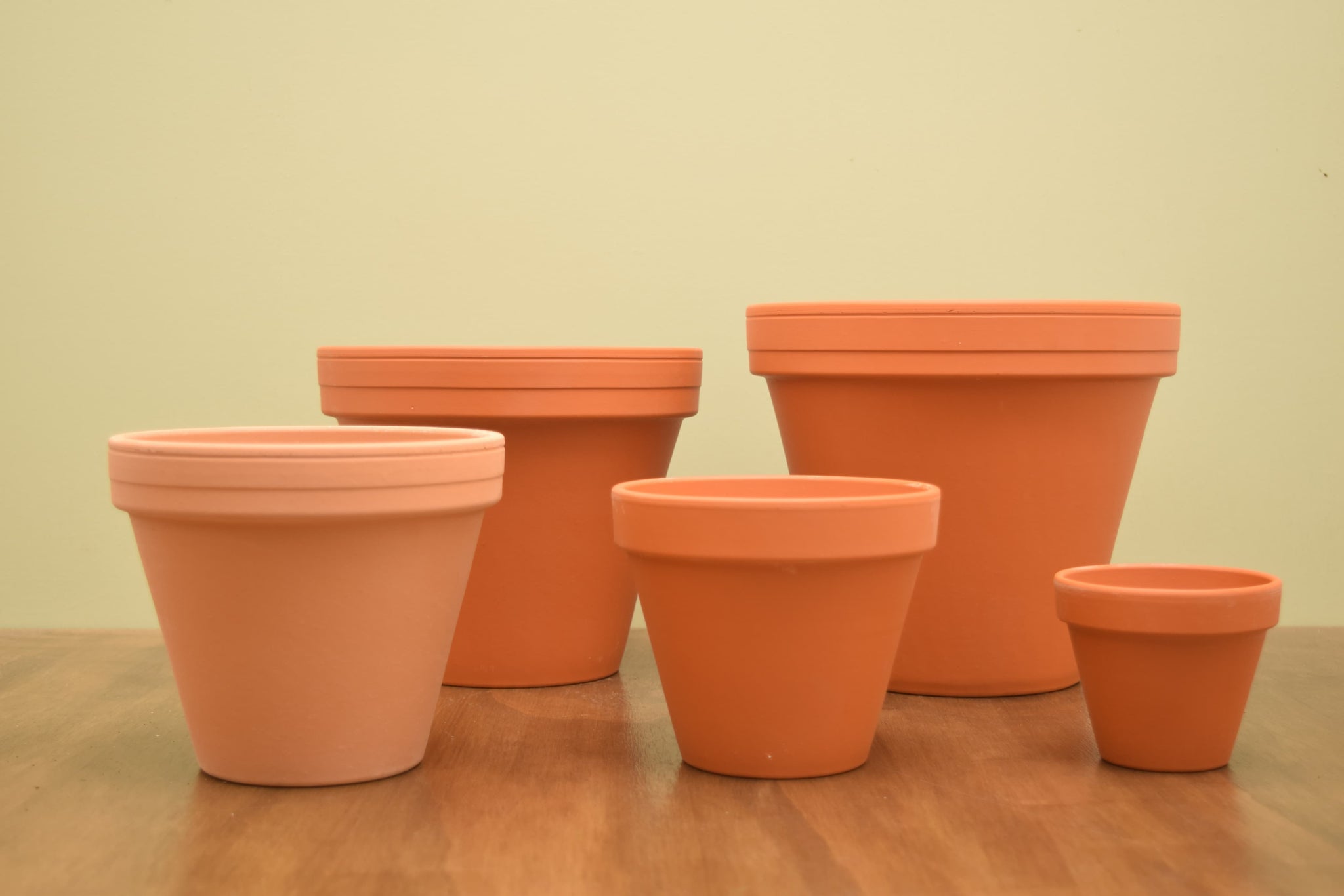 Terracotta Pot